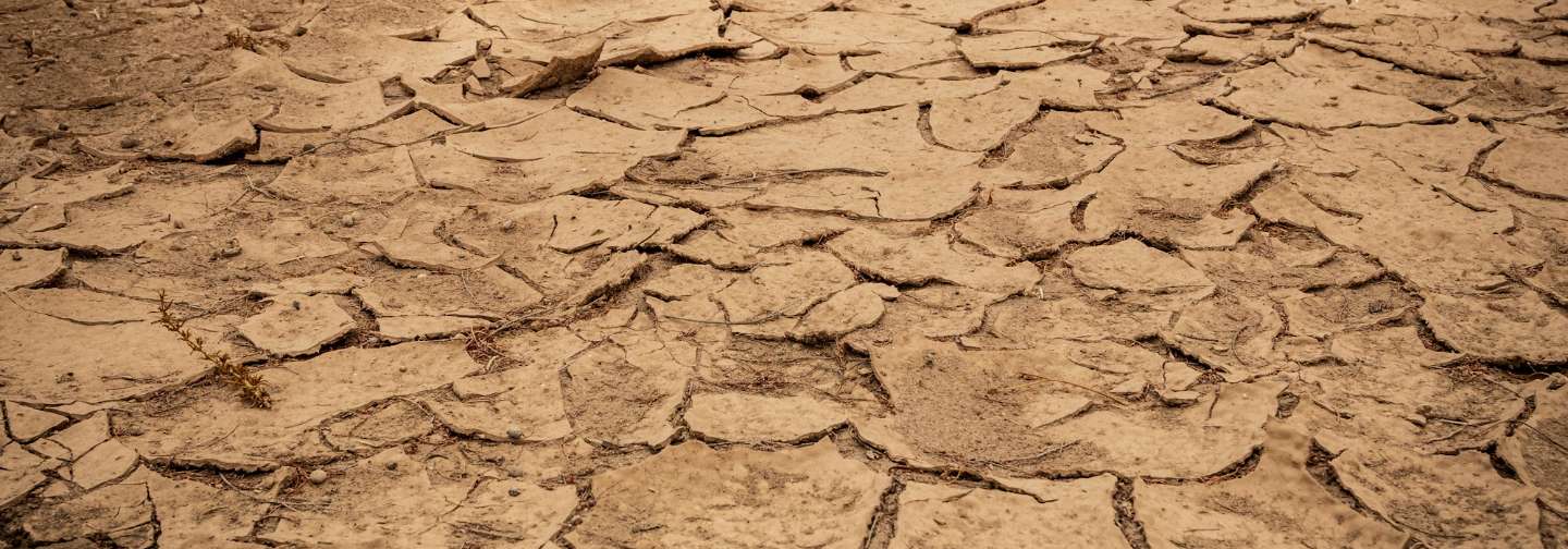 Tierra seca y agrietada por la sequía