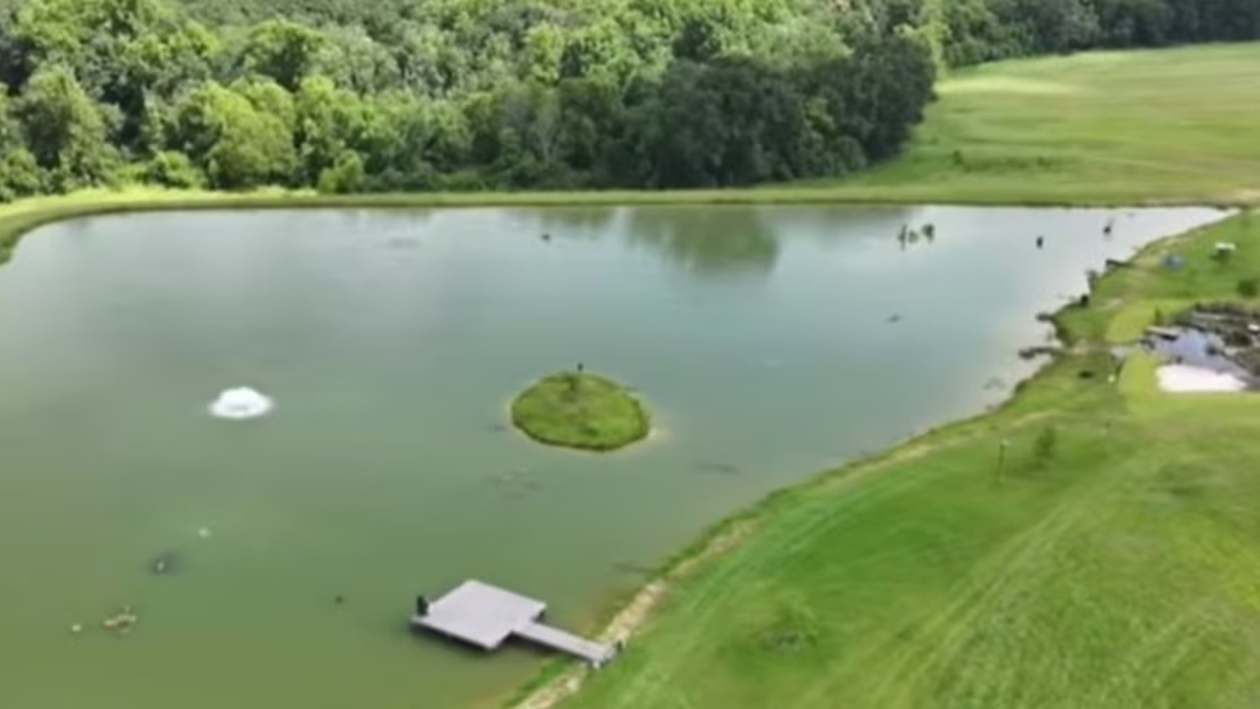 Vista aérea de un estanque rodeado de praderas y árboles en Alabama