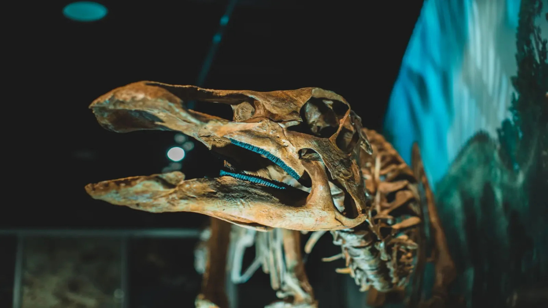 Un fósil de Tanzania cambia la historia de los dinosaurios