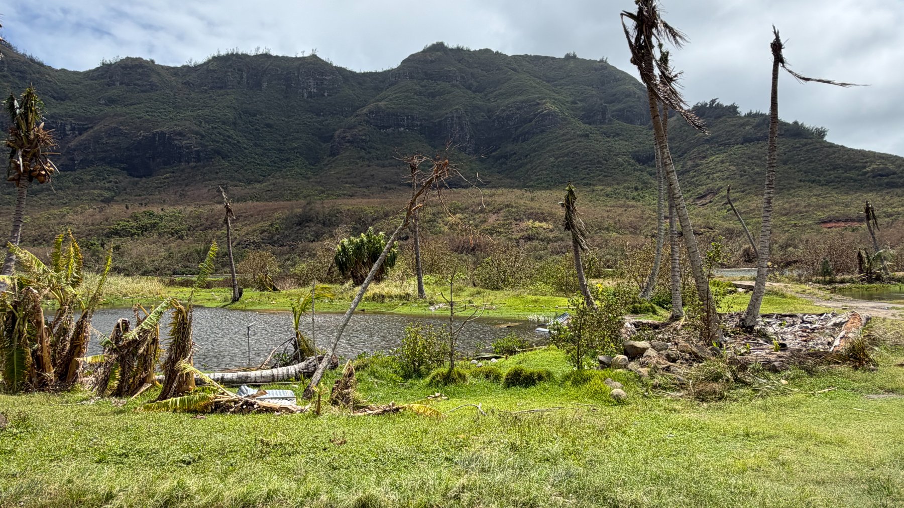 Terreno junto al estanque de Alakoko con árboles dañados tras el paso de un huracán
