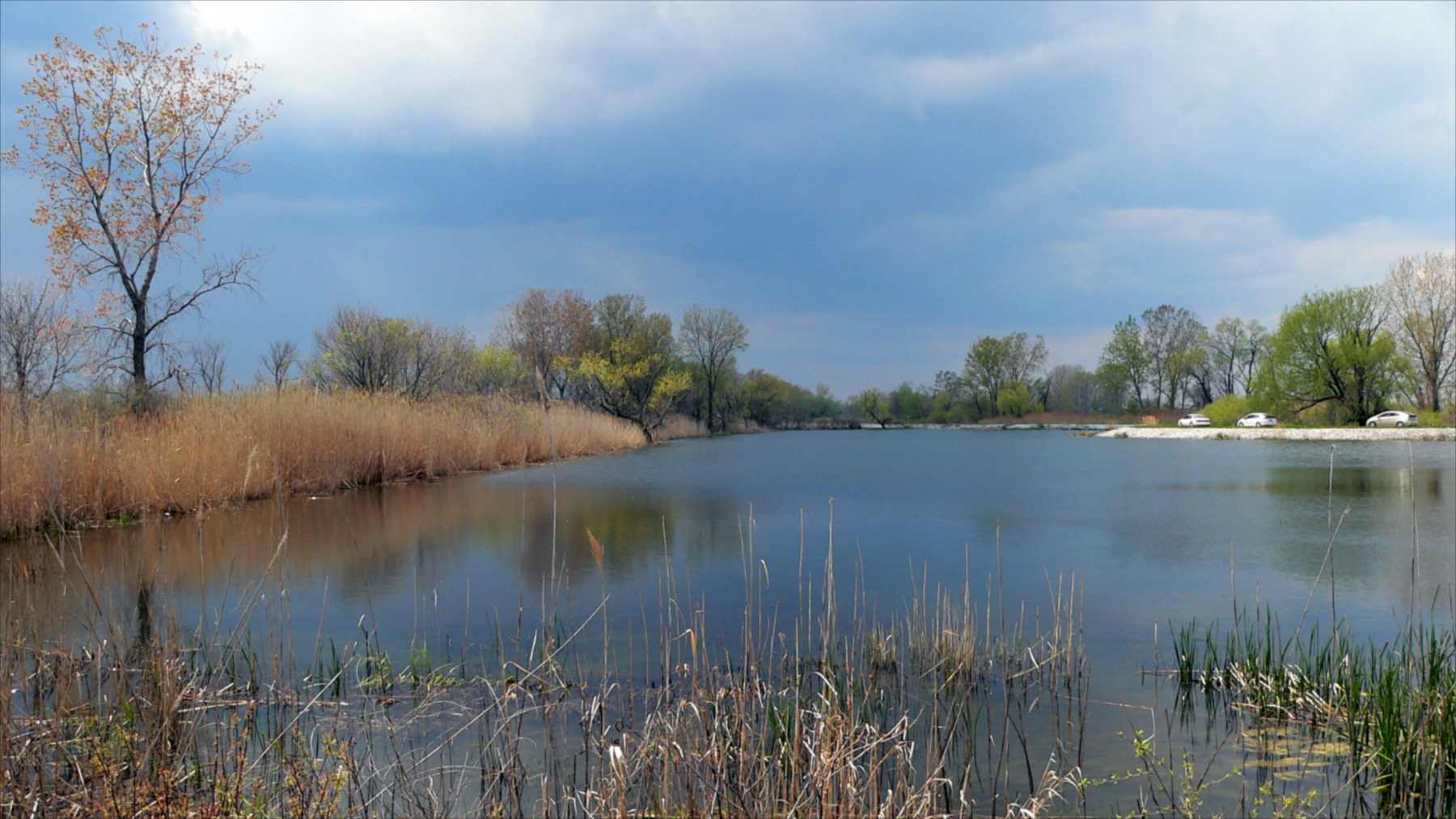 Humedal del Refugio Nacional de Vida Silvestre Ottawa, junto al lago Erie