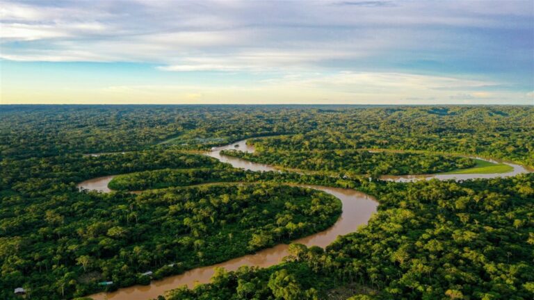 El Niño amenaza la Amazonía con sequías, incendios y pérdidas para los cultivos sostenibles