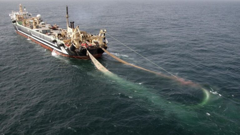 días extra de pesca