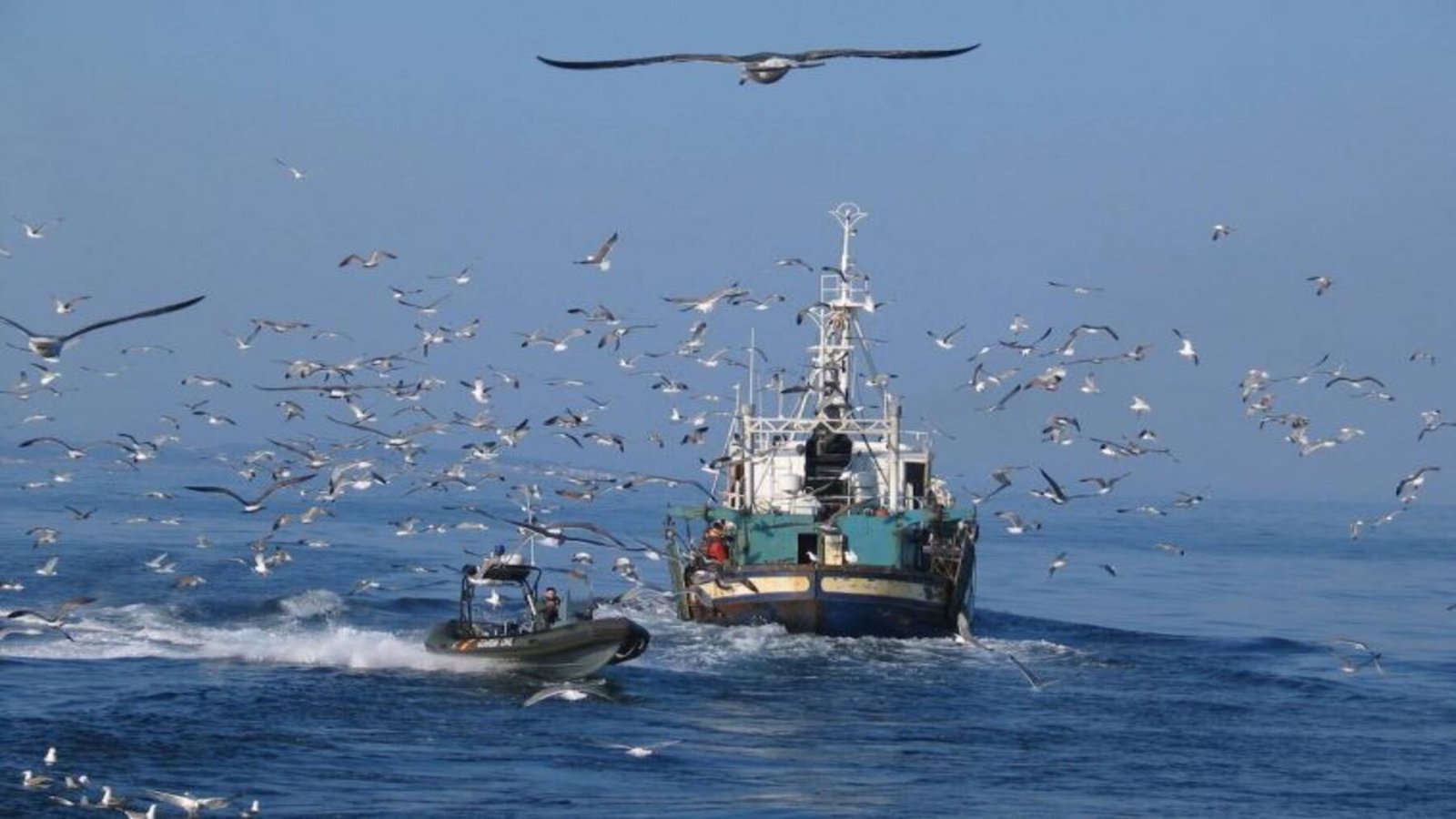 pesca ilegal mundial combatida mediante inspecciones de buques en los puertos
