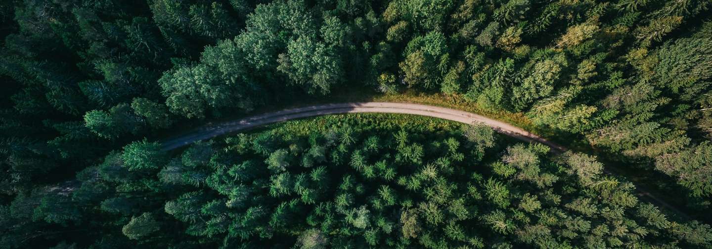 Vista aérea de un bosque atravesado por una carretera