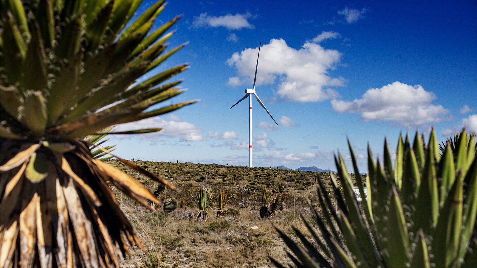 La energía renovable en México suma 55 proyectos y casi 3.000 MW de capacidad privada