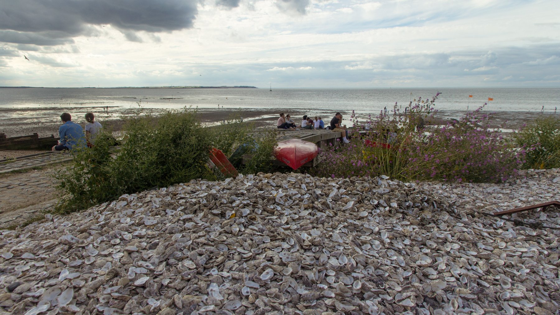 Playa cubierta de conchas de ostra en Whitstable