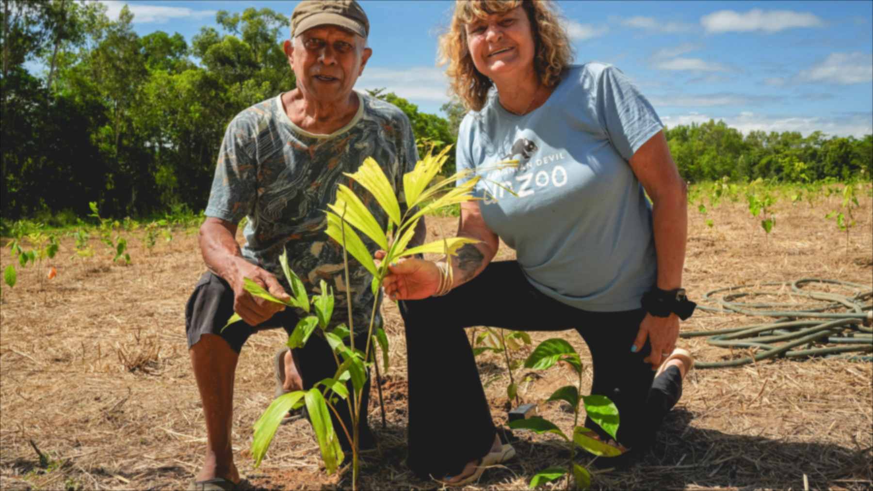 Dos personas plantan un árbol en NightWings, en Queensland
