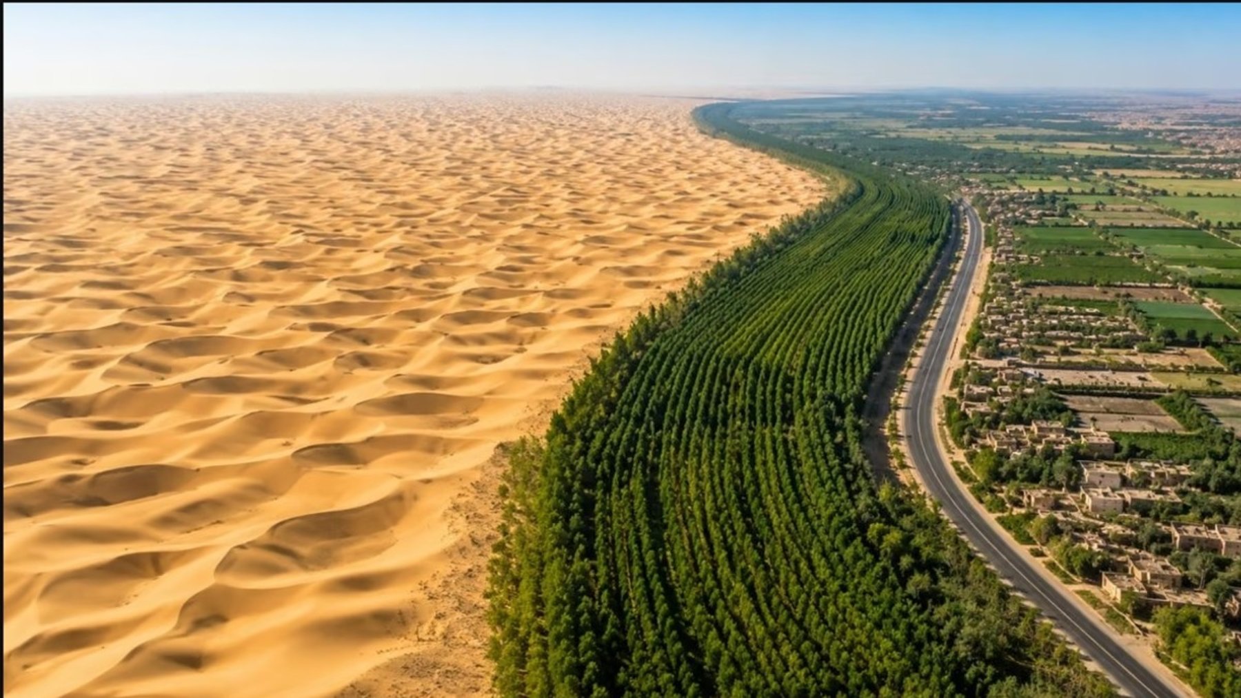 Franja de vegetación que avanza junto a dunas de arena en el desierto