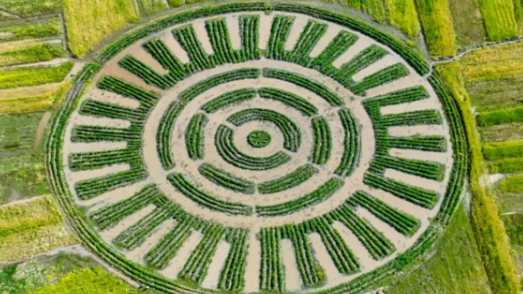 Vista aérea de campos de cultivo andinos con surcos elevados