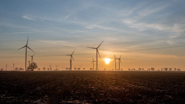 Instalaciones solares y eólicas que ilustran el impulso de la acción climática a la economía y el empleo.