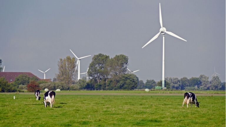 Aerogeneradores de parques eólicos en Galicia