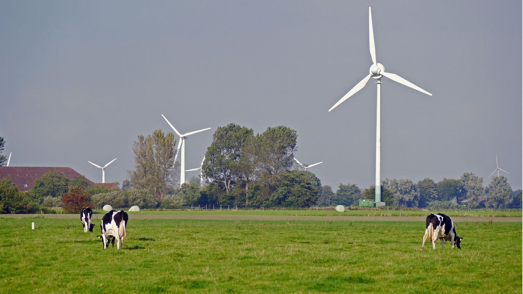 Aerogeneradores de parques eólicos en Galicia