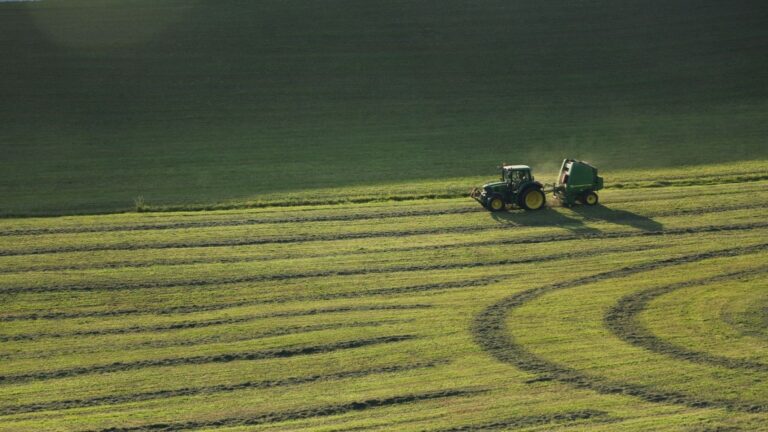 Explotación de agricultura ecológica para ilustrar el debate sobre las ayudas de la futura PAC