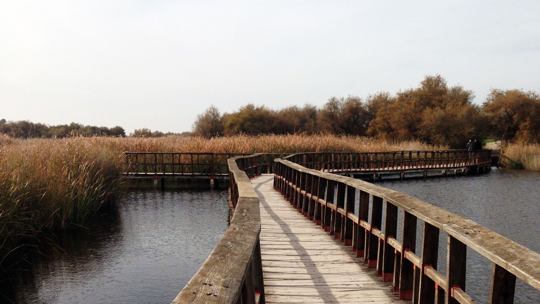 Entorno de los Ojos del Guadiana vinculado al agua subterránea en Daimiel