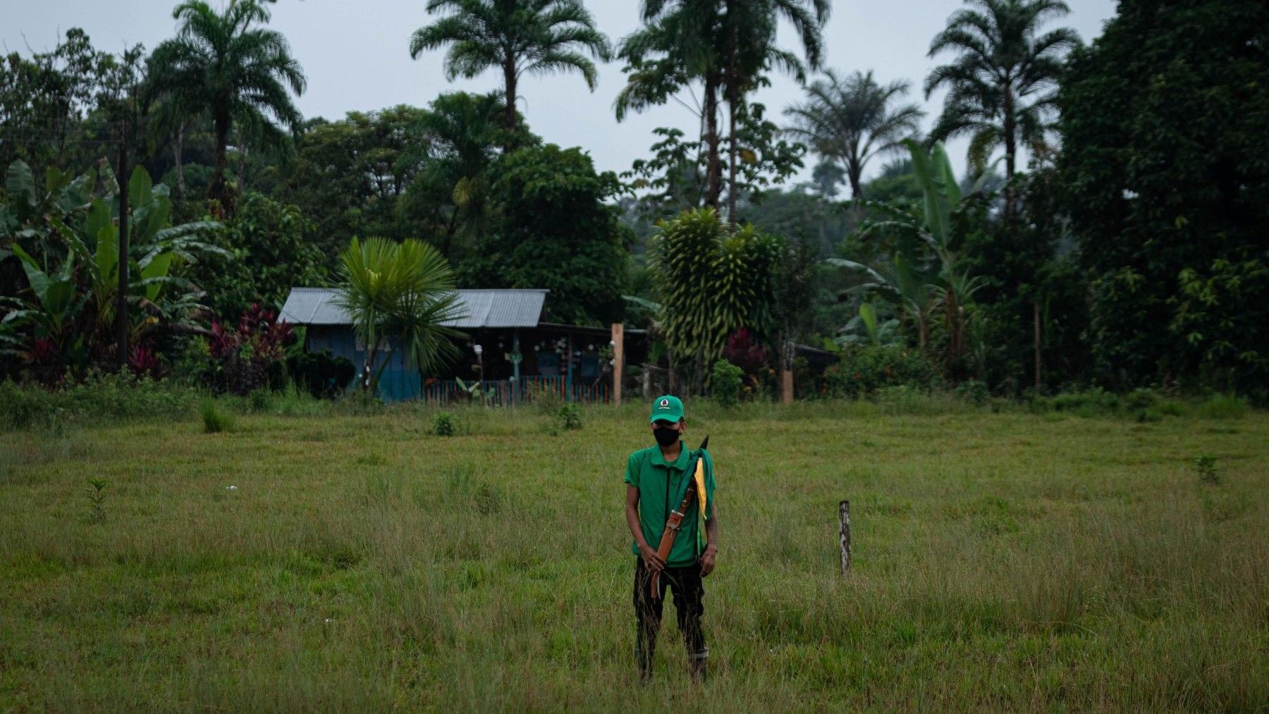 Bosque tropical y zona deforestada para ilustrar la Amazonía en las elecciones de Brasil