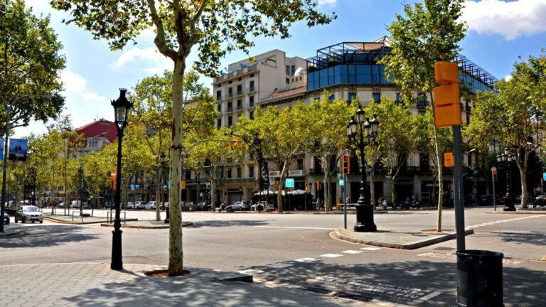 Árboles urbanos frente al calor y la sequía en Barcelona