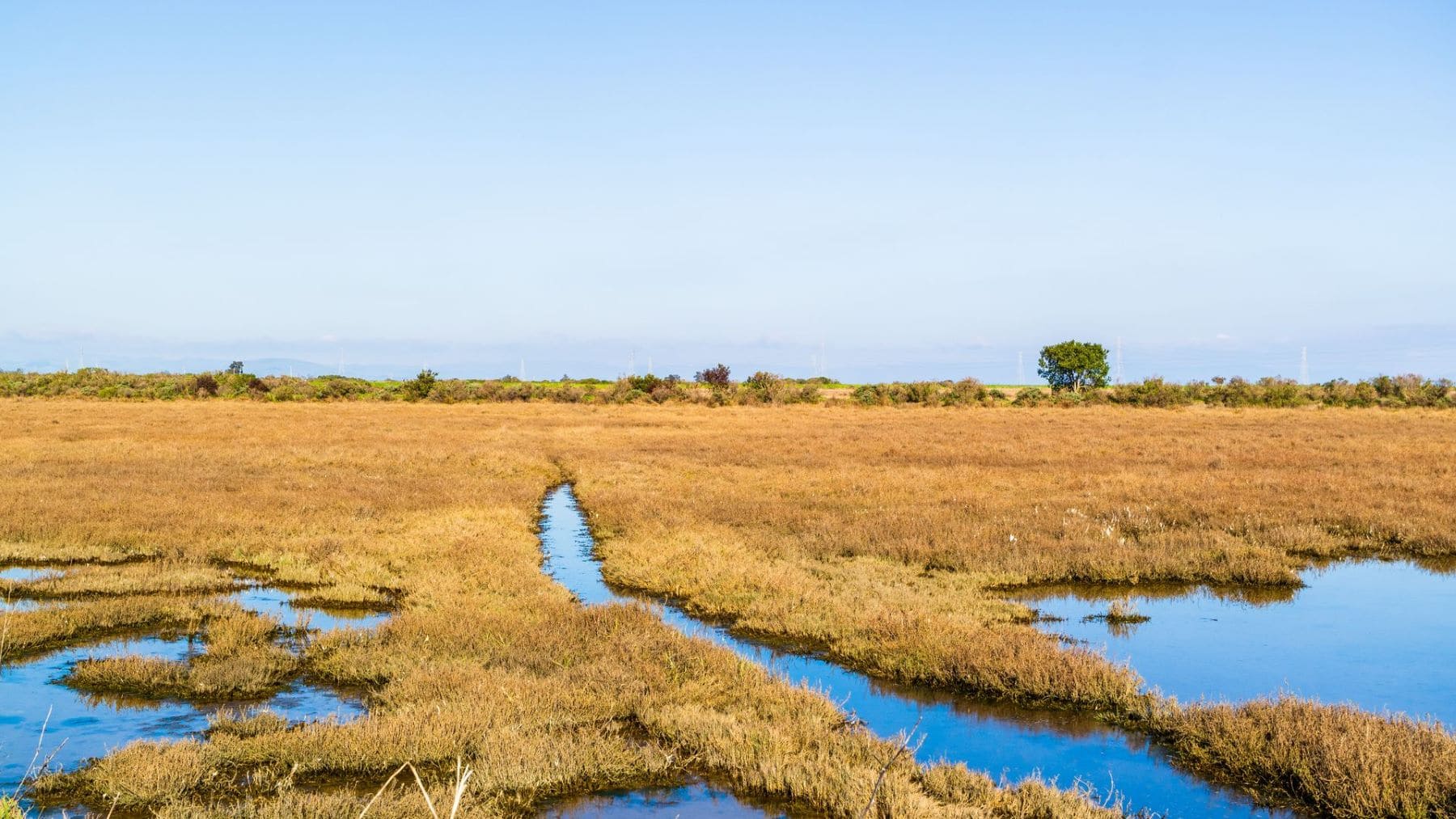 Terrenos agrícolas del entorno de Doñana vinculados a las ayudas a la renaturalización de Doñana.