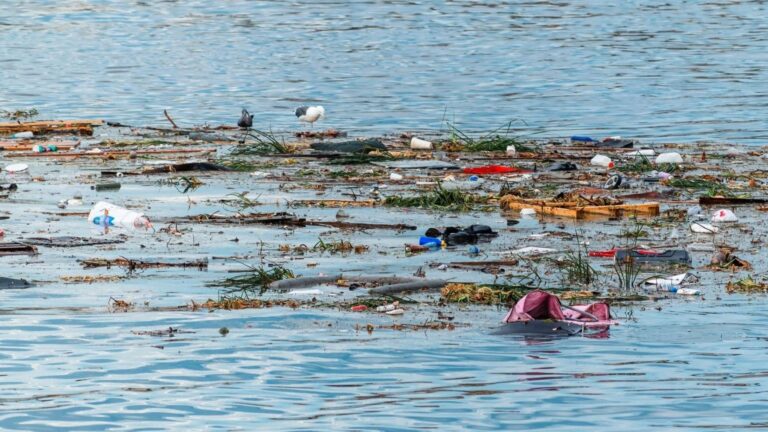 Residuos plásticos flotantes durante un muestreo de basura marina en aguas de Canarias.