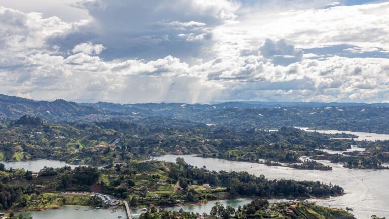 Paisaje de bosque y río representativo de la biodiversidad en Colombia