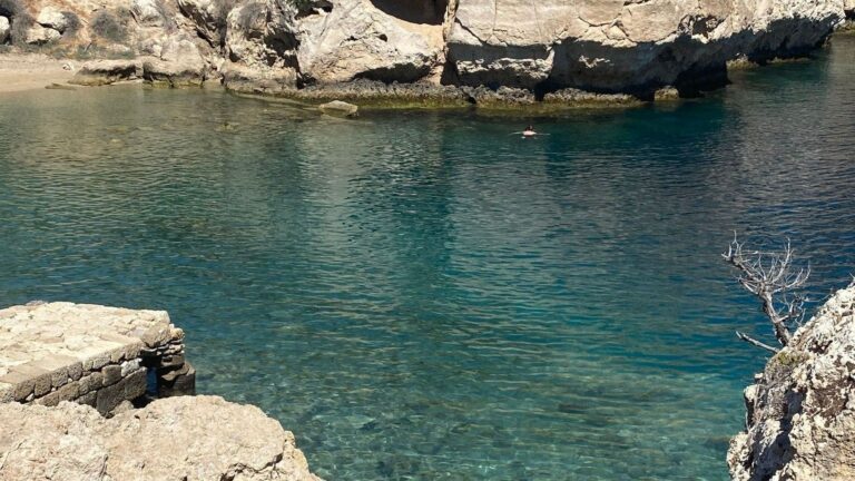 Poza con agua y vegetación de ribera que sirve de refugio para la biodiversidad mediterránea.