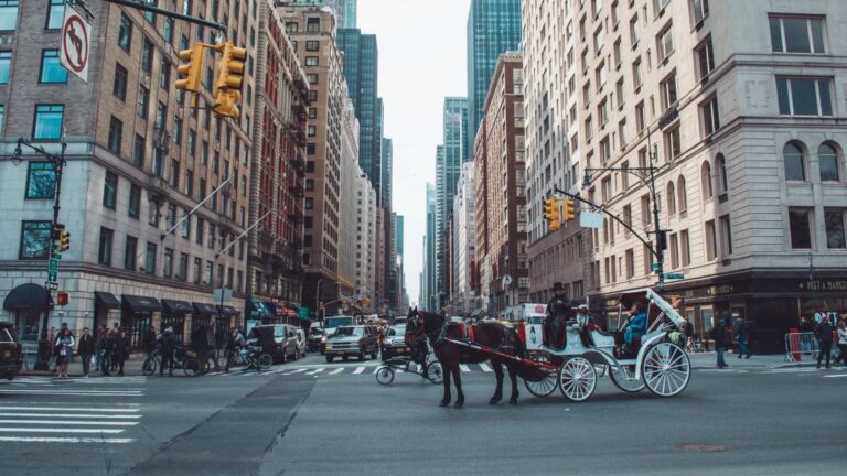 Carruajes de caballos en Central Park ante su prohibicion en 2028