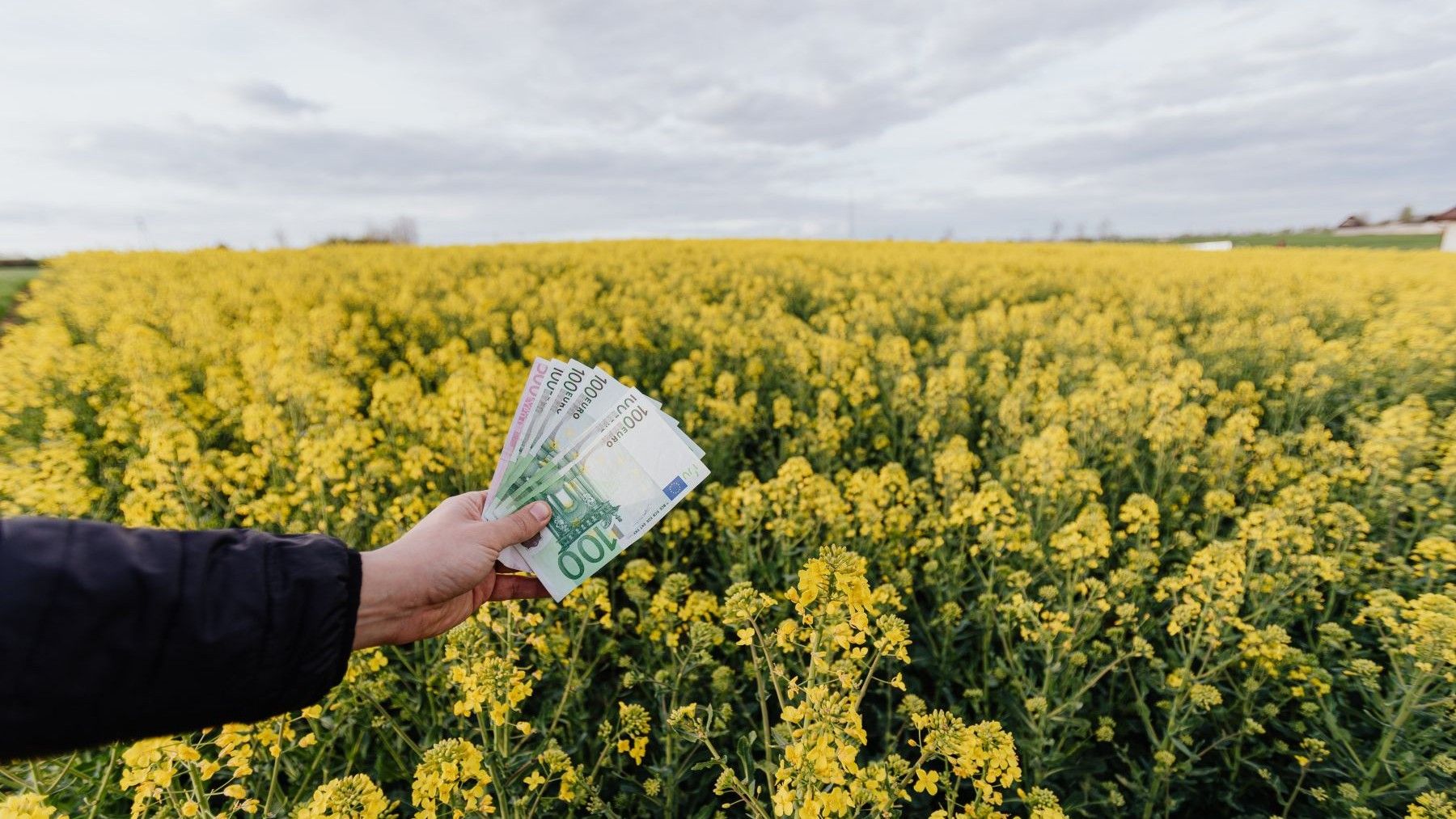 campo de cultivo para ilustrar los costes agrarios y la dependencia del gasóleo