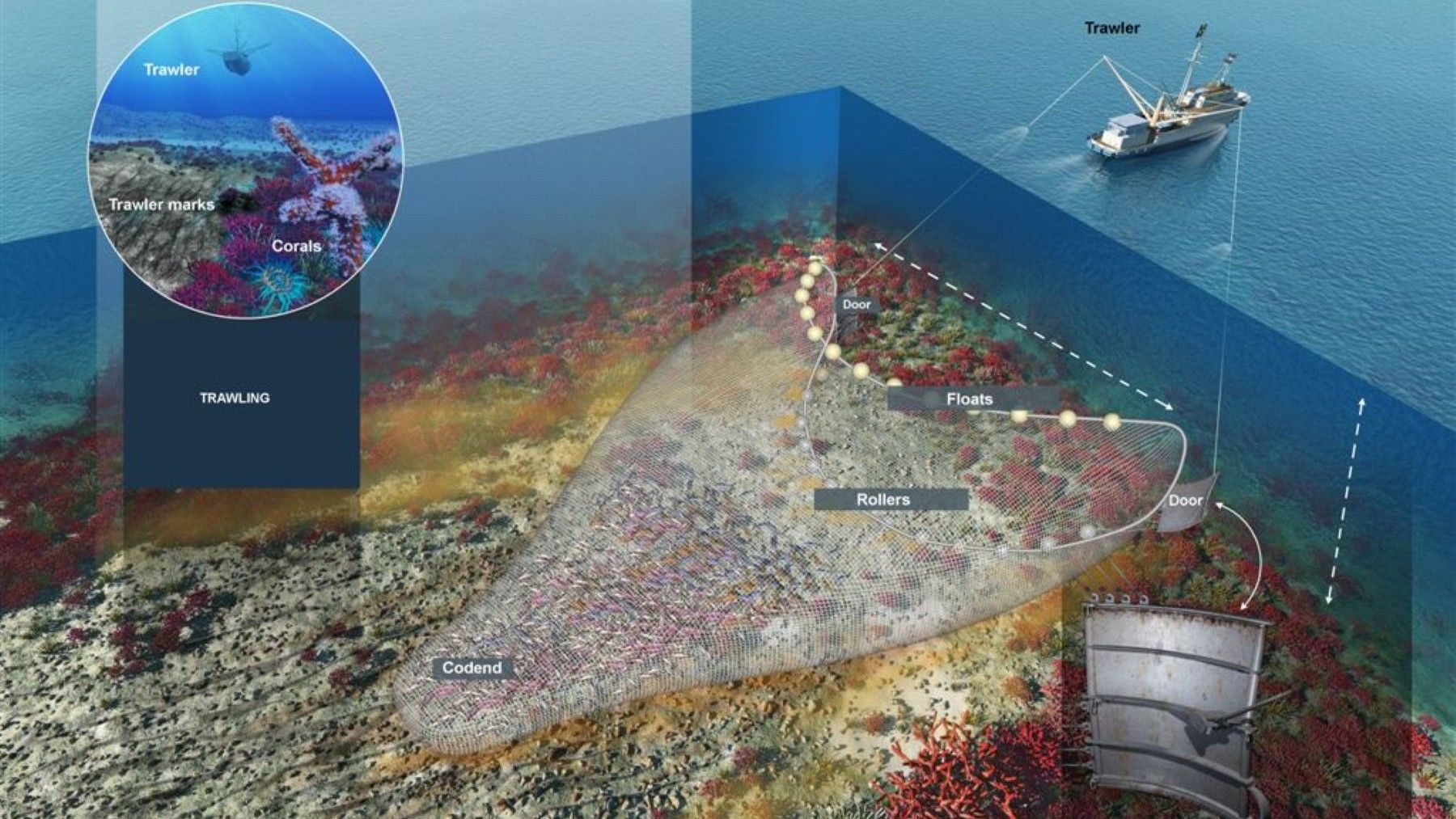 Red de pesca de arrastre de fondo utilizada para ilustrar el debate sobre su prohibición desde los 800 metros