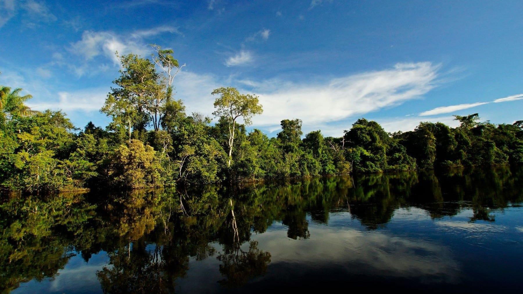Vista aérea de una zona afectada por la deforestación en Brasil junto a la selva amazónica.