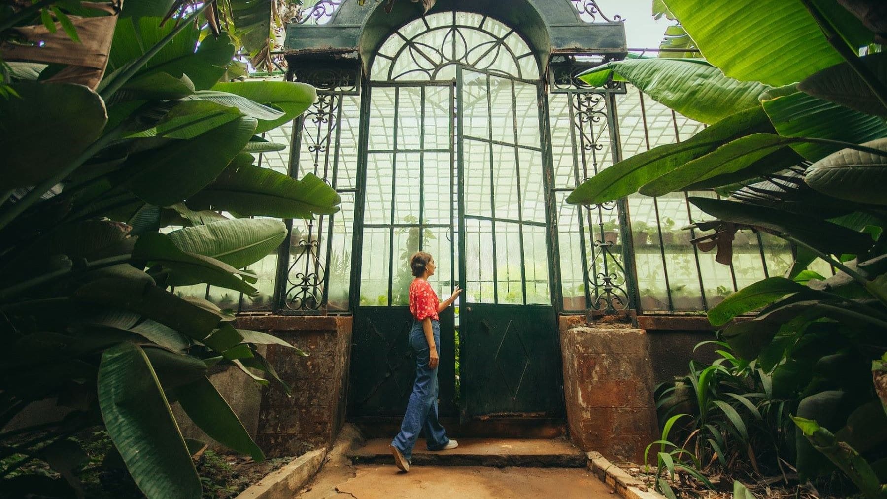 Colección de plantas para ilustrar el Día Mundial de los Jardines Botánicos 2026