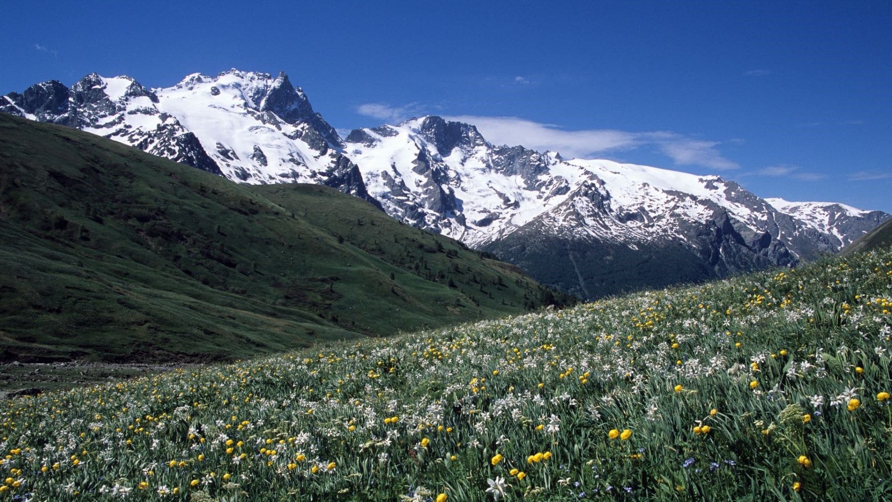 Pastizales de alta montaña de Omaña para ilustrar el seguimiento de los ecosistemas alpinos mediante satélites