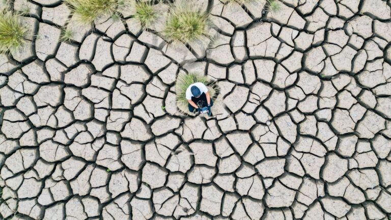 Aumentan las muertes por calor