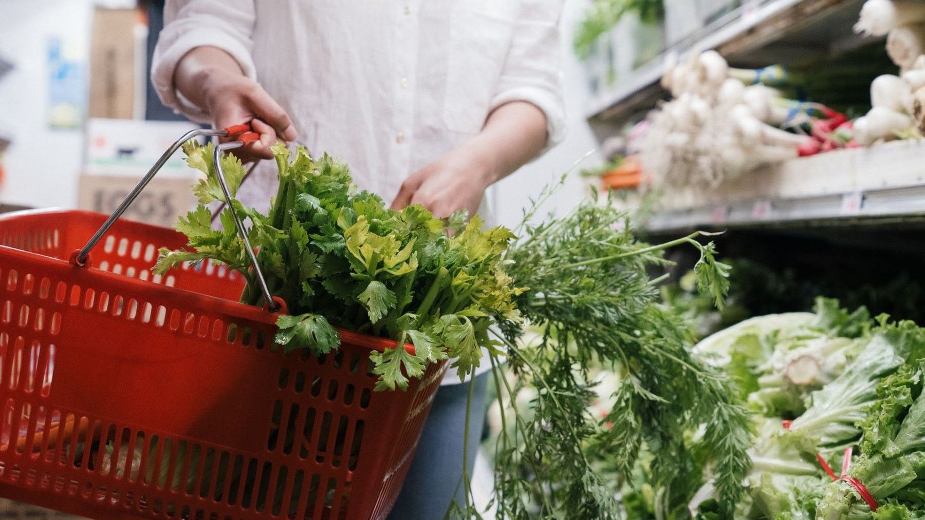 Atlas de los agronegocios: alimentos en un supermercado y concentración del mercado alimentario