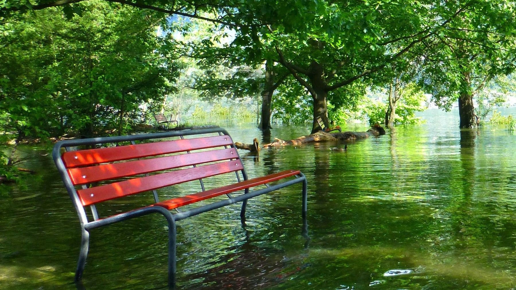 Zona urbana anegada como contexto de las alertas de inundación