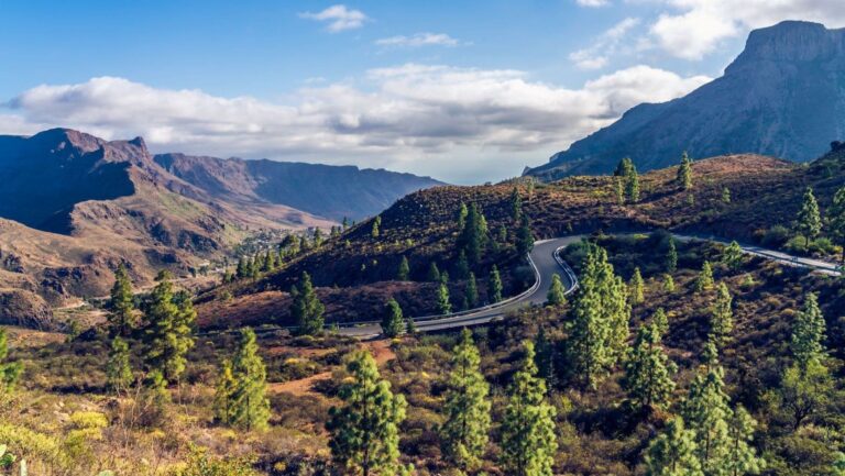 Especies exoticas en Canarias anticiparse para proteger la biodiversidad