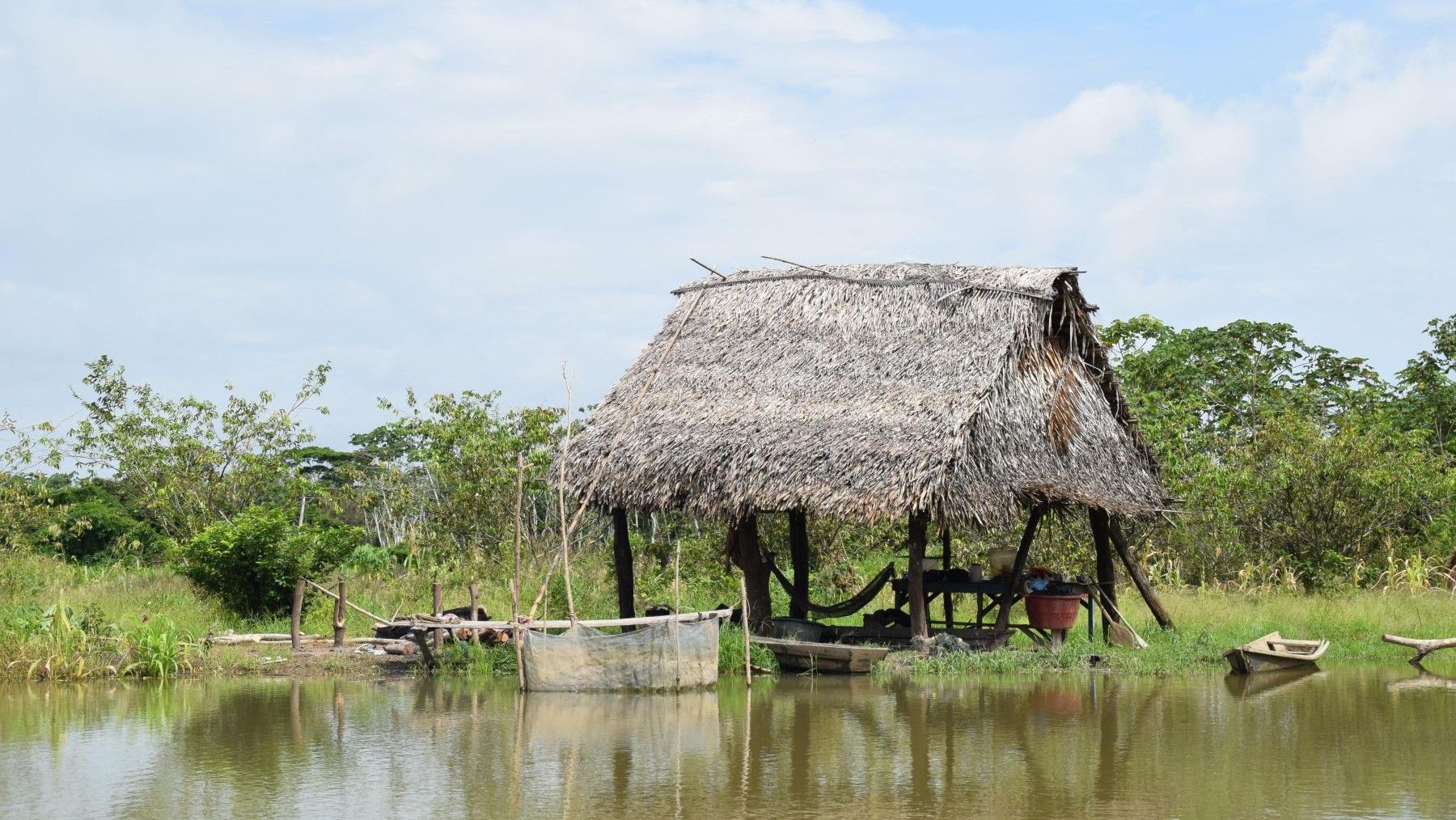 Área de bosque afectada por la minería ilegal en la Amazonía