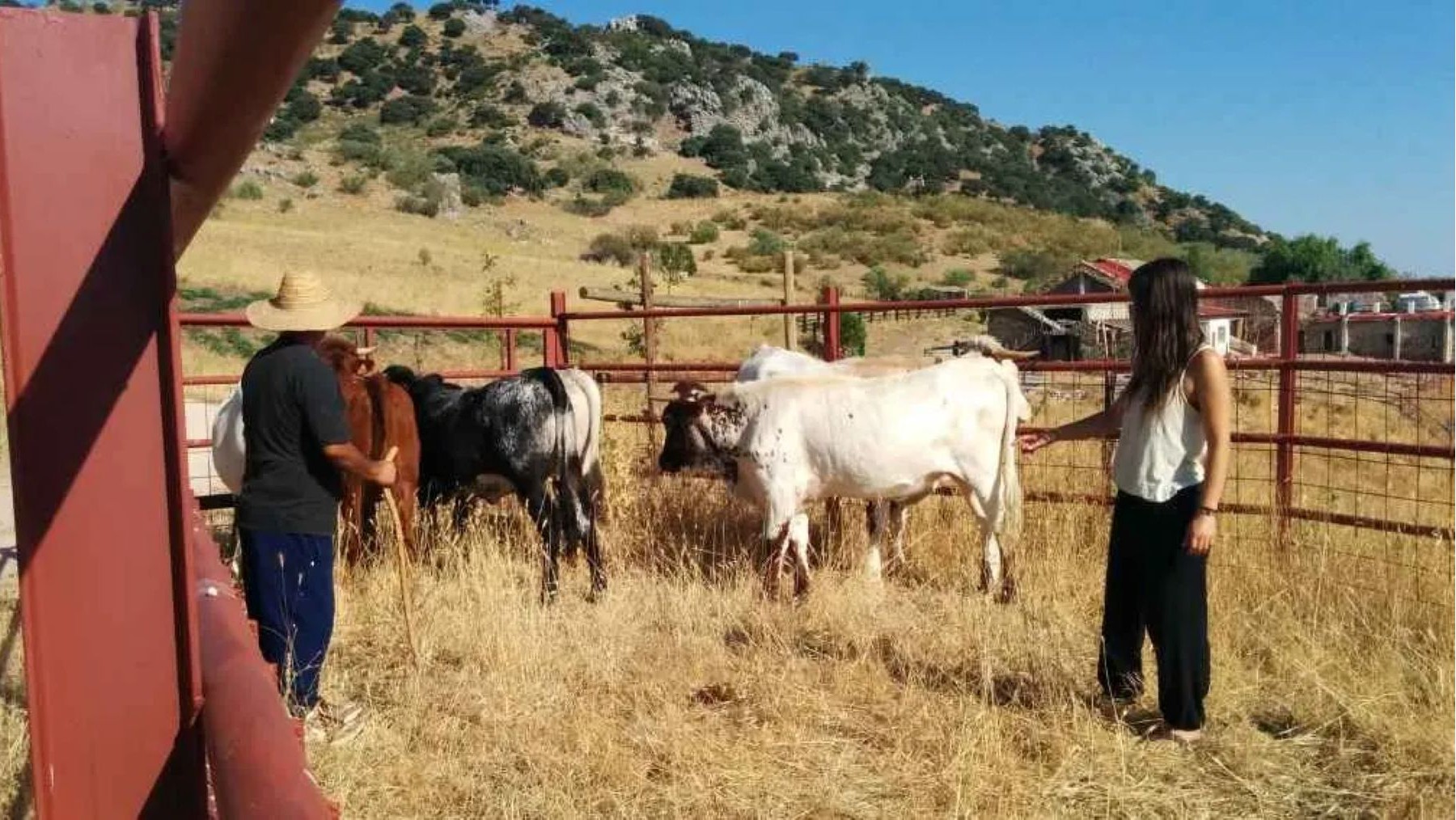 Manuel Orellana en Finca Agroecológica Maraver, en la Serranía de Ronda.