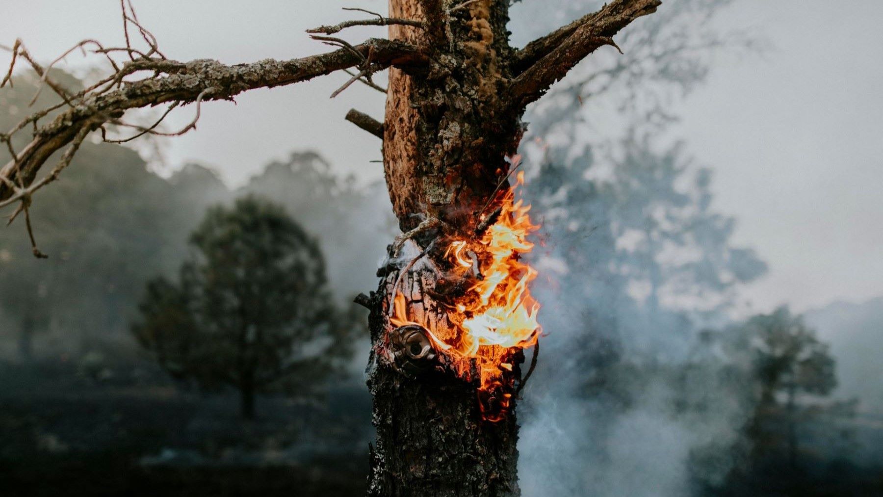 Humo de los incendios en Indonesia sobre terrenos afectados por el fuego