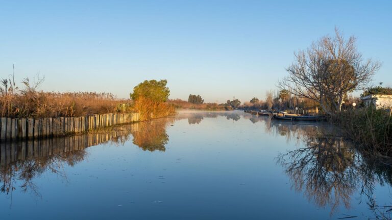 La Albufera y el reto de recuperar sus aguas claras