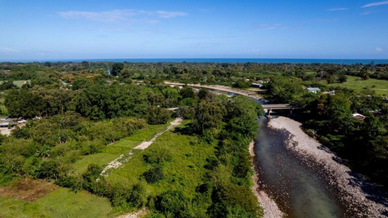 Bosque tropical de la reserva del Río Plátano en Honduras