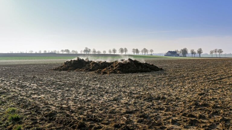 Inspección de una instalación ganadera en Castilla-La Mancha, ámbito contemplado en la futura Ley de Calidad Ambiental.