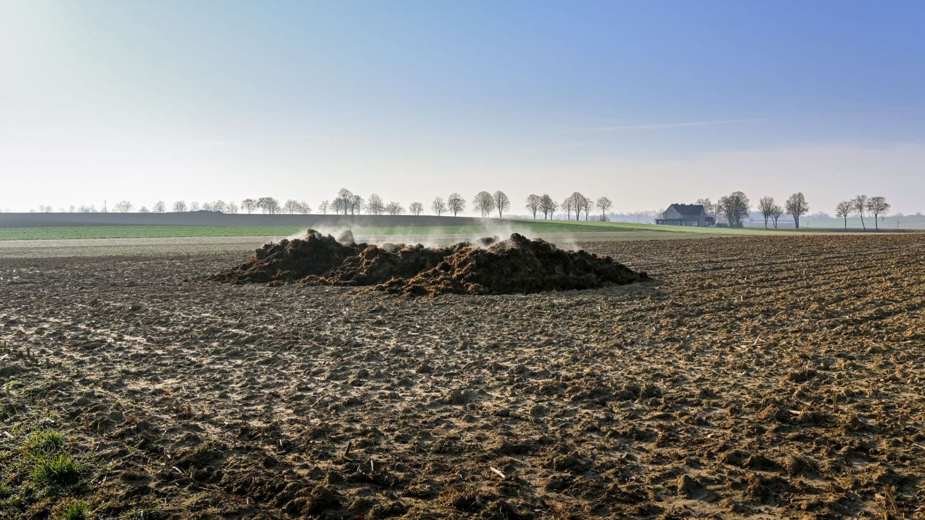 Inspección de una instalación ganadera en Castilla-La Mancha, ámbito contemplado en la futura Ley de Calidad Ambiental.