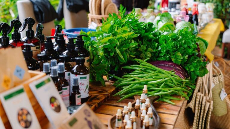 Normativa de produccion ecologica cambios para agricultores y empresas
