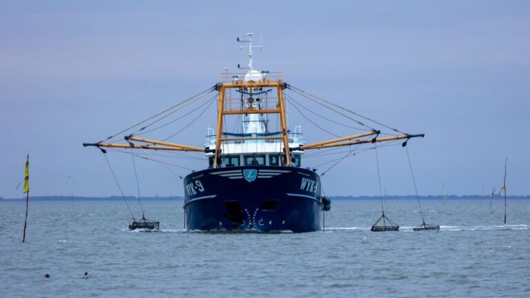 pesca de arrastre