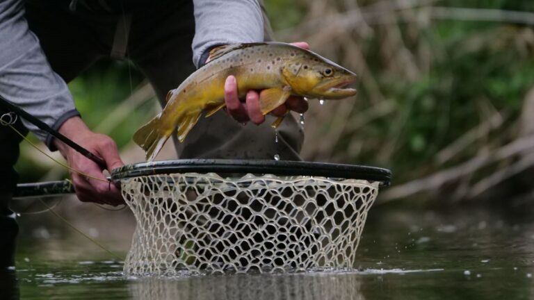 pesca de trucha en Asturias