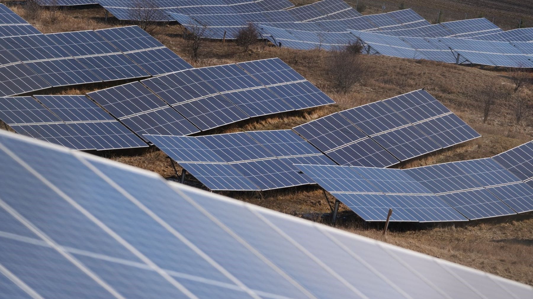 planta solar de Cedillo