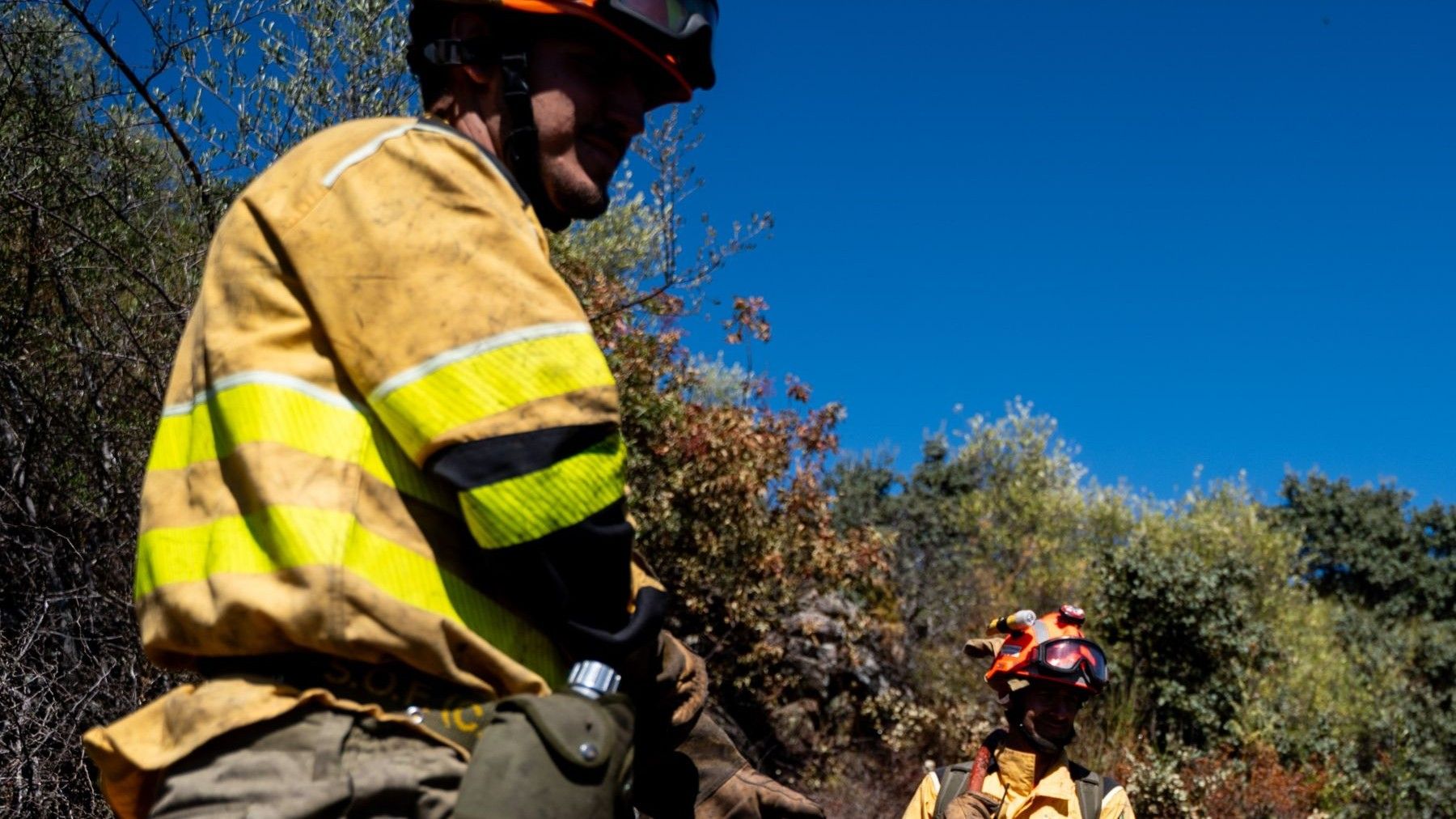 Trabajos de desbroce y gestión del monte para la prevención de incendios forestales.