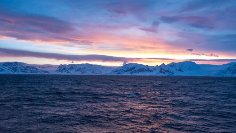 Pingüinos junto al mar en la península antártica, escenario de la propuesta de protección de la Antártida.