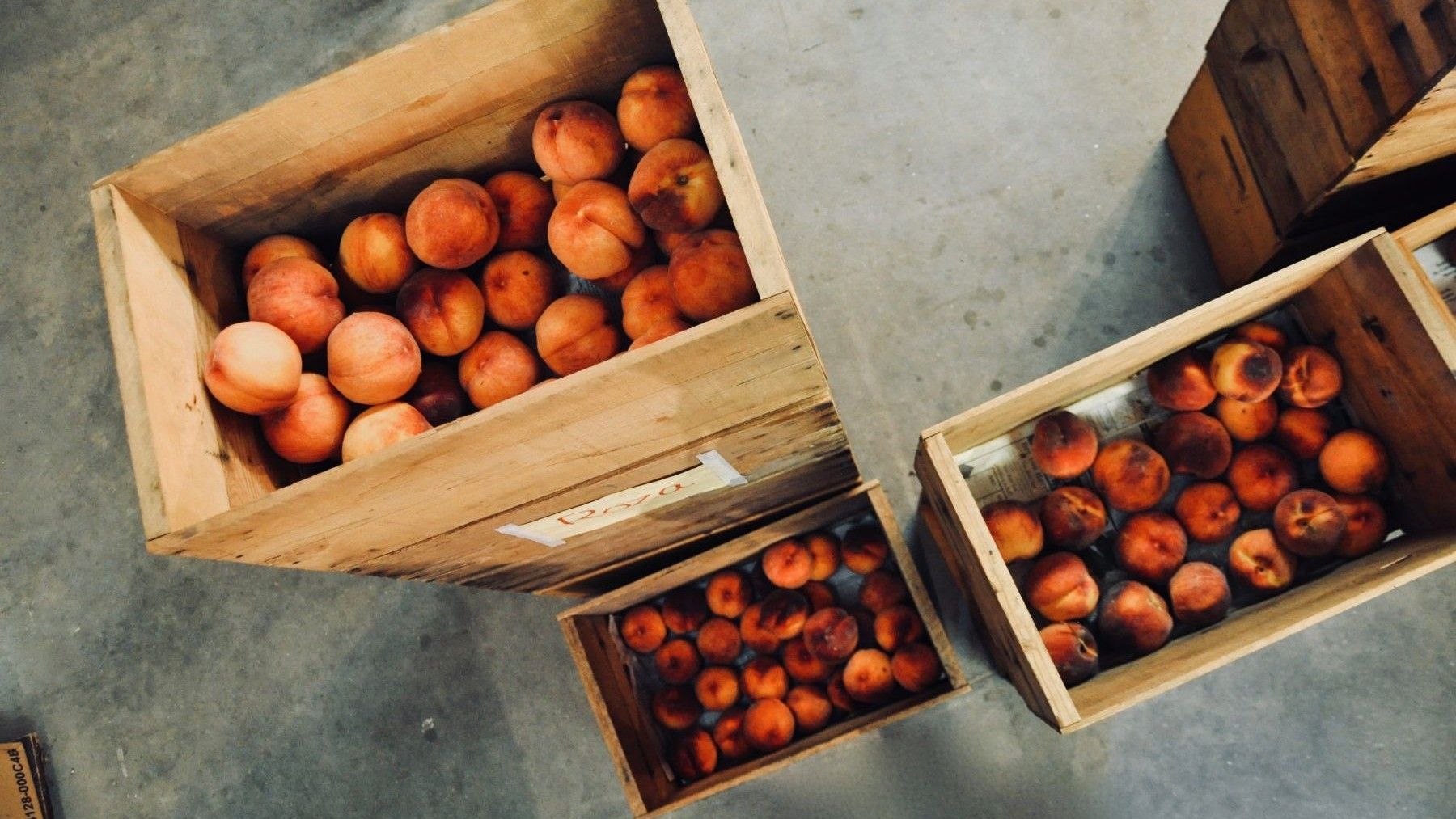 Residuos de pesticidas: el debate sobre las importaciones agrícolas de la UE