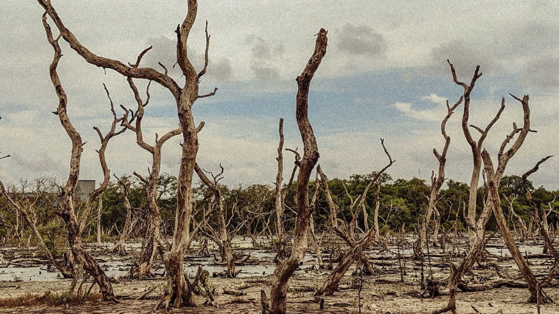 Infraestructuras urbanas junto a un río como ejemplo de los retos de resiliencia climática en Europa.